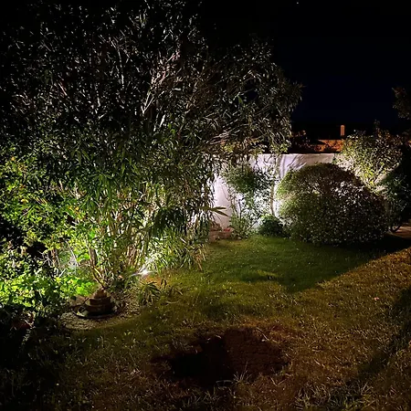 Maison Sur Mer Ile De Re *