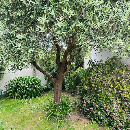 Tatil Evi Maison Sur Mer Ile De Re